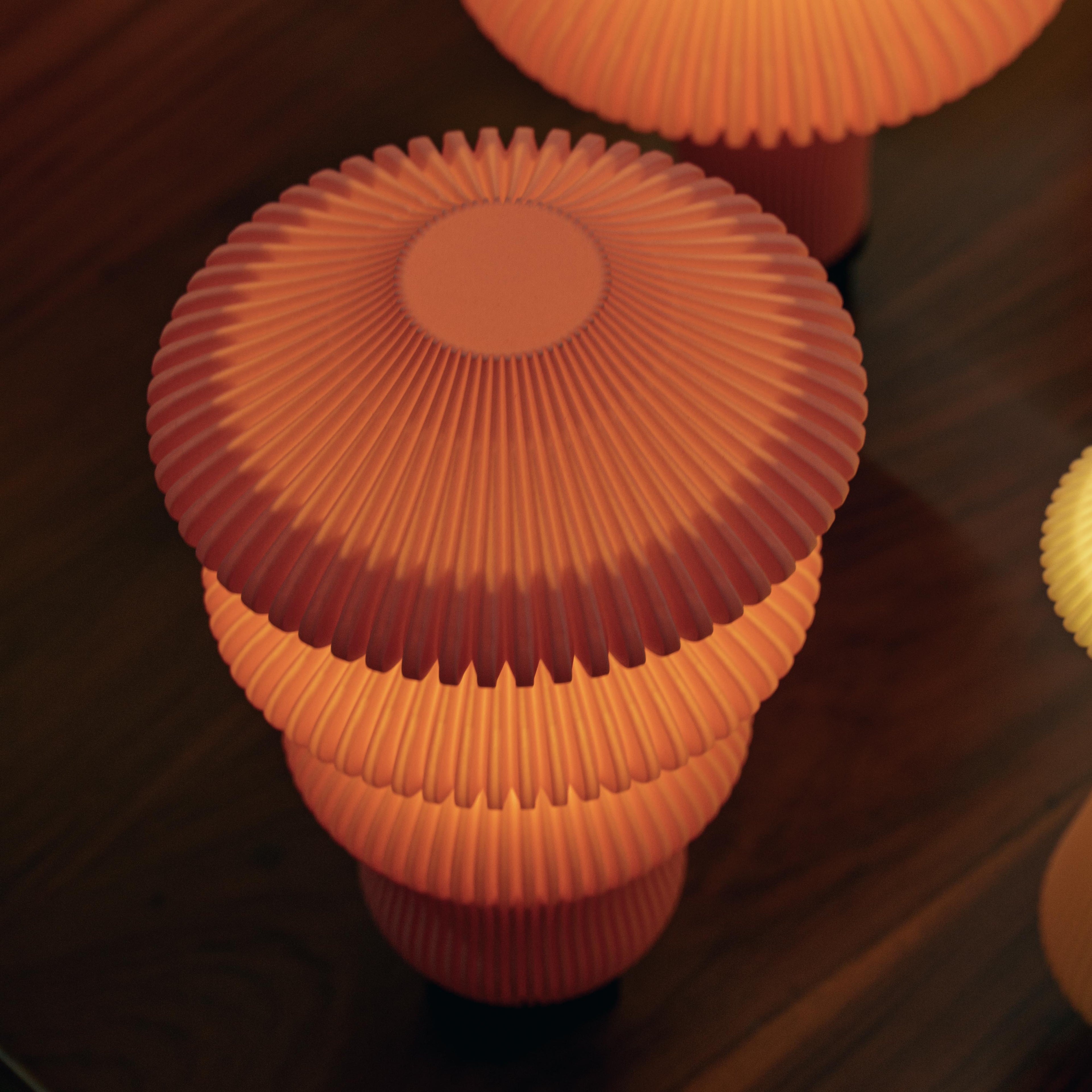 Ruvaa Max - Portable Table Lamp