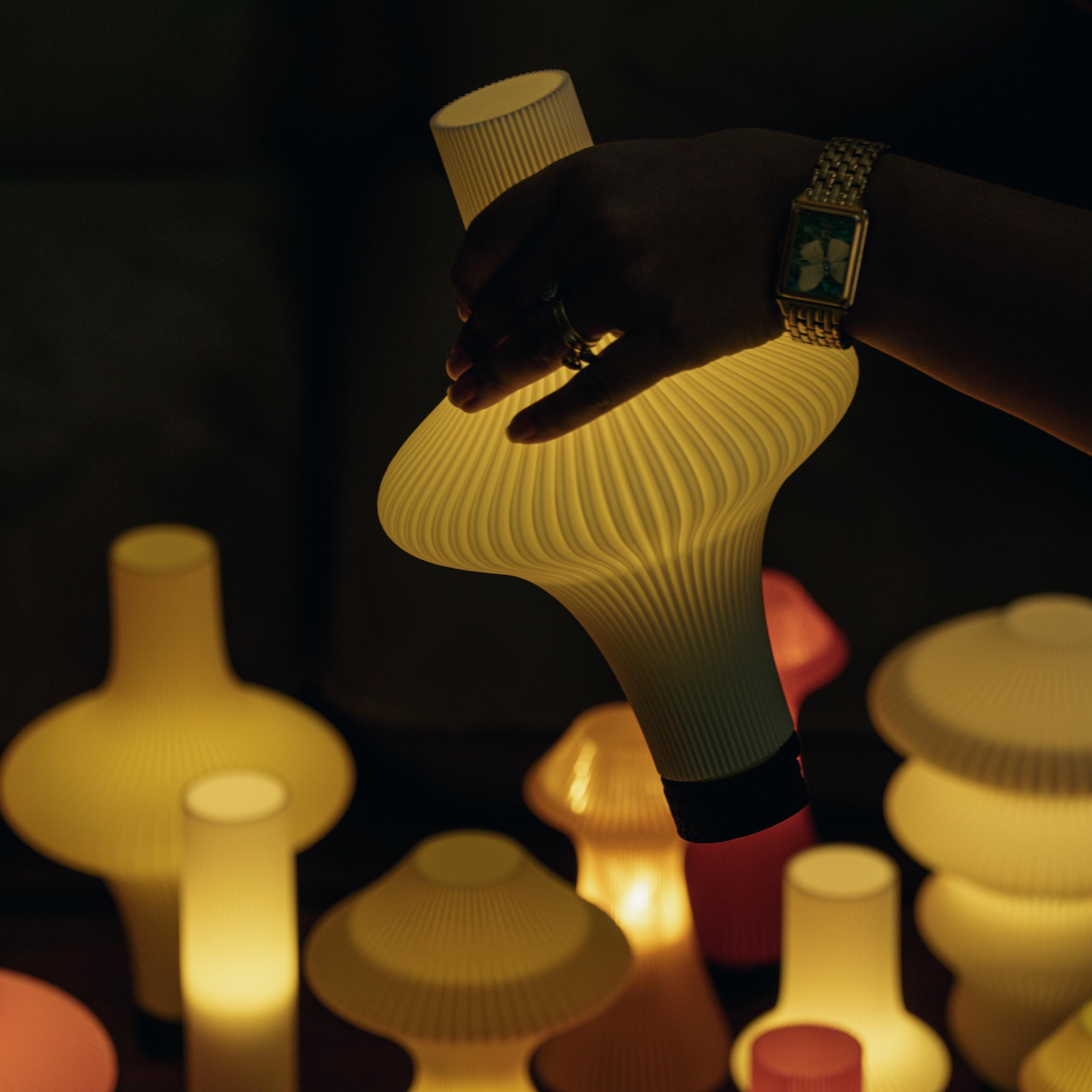 Zeya Max - Portable Table Lamp