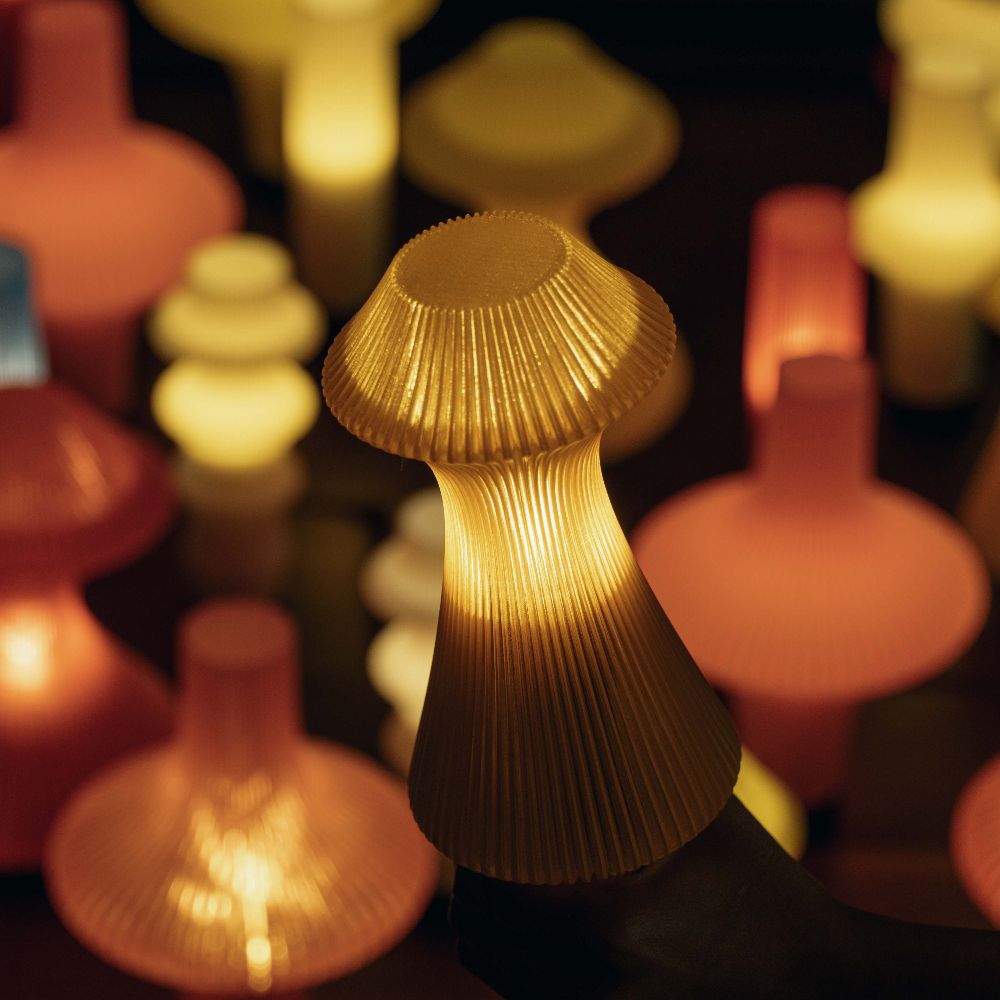 Volara - Portable Table Lamp