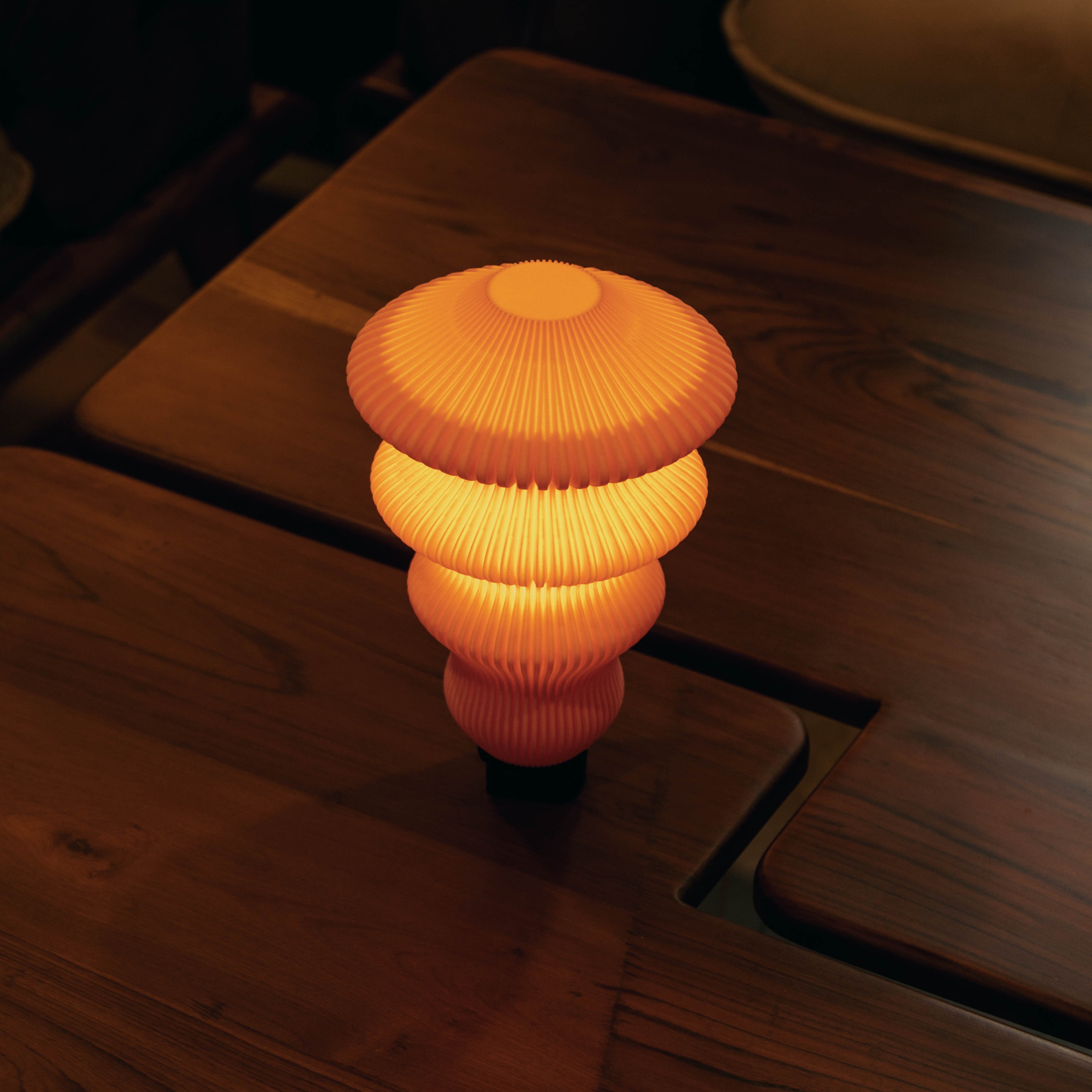 Ruvaa Max - Portable Table Lamp