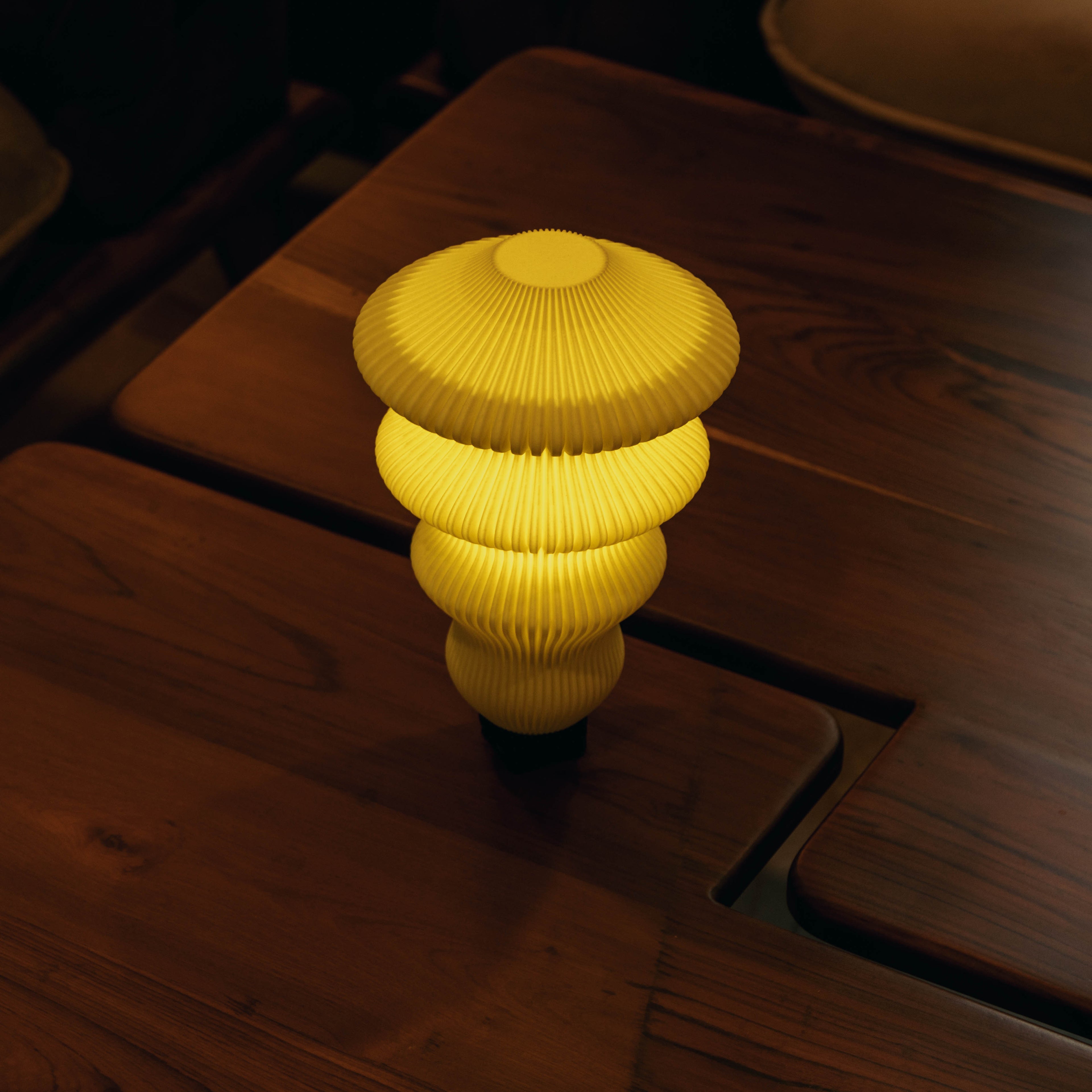 Ruvaa Max - Portable Table Lamp