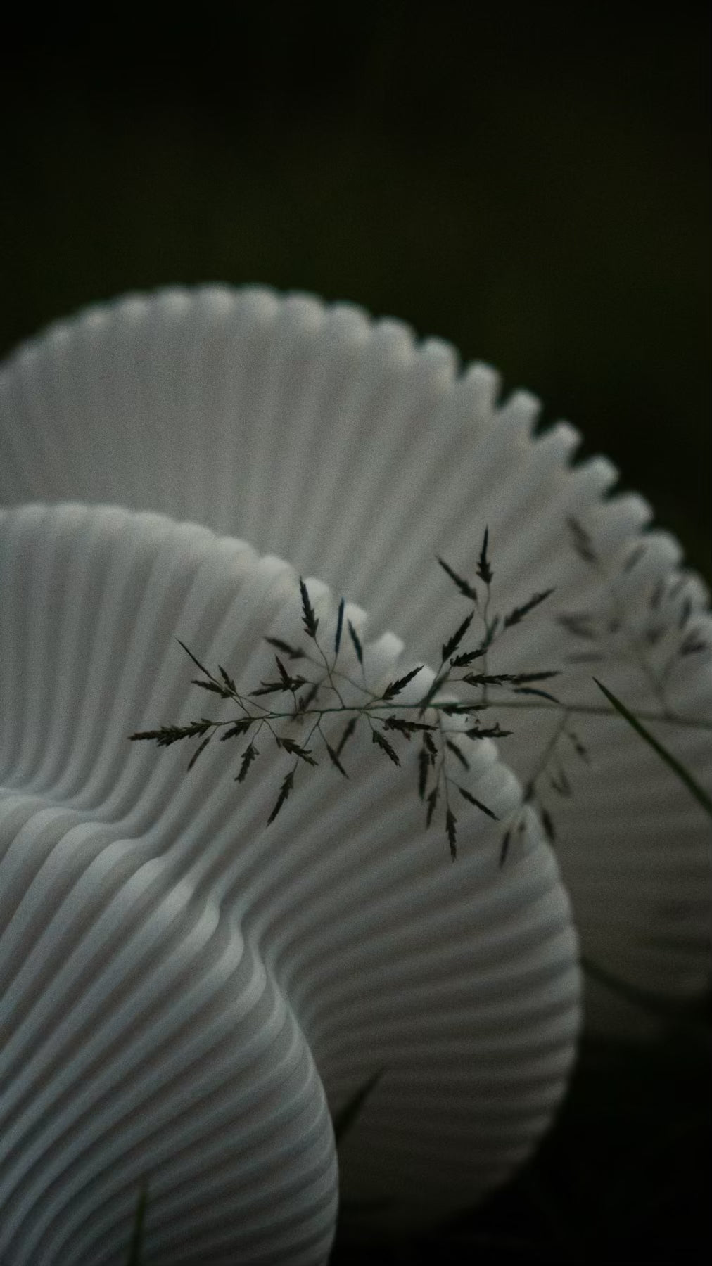 Close-up of the ribbed sculptural form of the Muvèlo Ruvaa Mono White portable table lamp.
